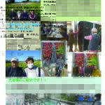はとまめだより　2023年11月号掲載します。