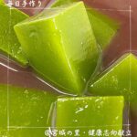 3月28日金曜日　きょうのおやつは、おしるこ抹茶かんでした。